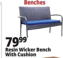 Ocean State Job Lot Resin Wicker Bench With Cushion offer