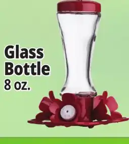 Ocean State Job Lot Glass Bottle offer