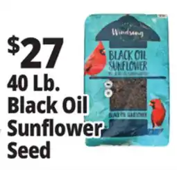 Ocean State Job Lot Black Oil Sunflower Seeds 40 lbs offer