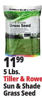 Ocean State Job Lot Tiller & Rowe Sun & Shade Grass Seed 5 lbs offer