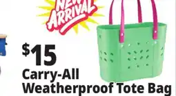Ocean State Job Lot Carry-All Weatherproof Tote Bag offer