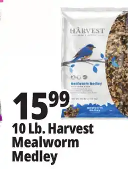 Ocean State Job Lot Harvest Seed & Supply Mealworm Medley Wild Bird Food 10 lb offer