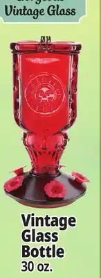 Ocean State Job Lot Vintage Glass Bottle offer