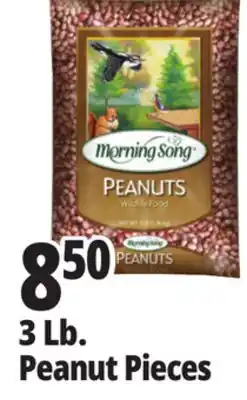 Ocean State Job Lot Audubon Peanut Pieces Bird Seed 3lb offer