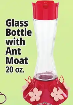 Ocean State Job Lot Glass Bottle with Ant Moat offer