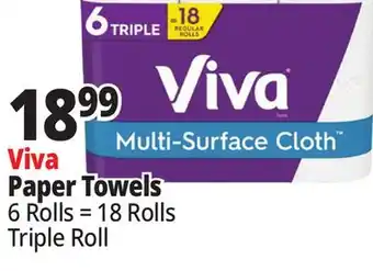 Ocean State Job Lot Viva Paper Towels offer