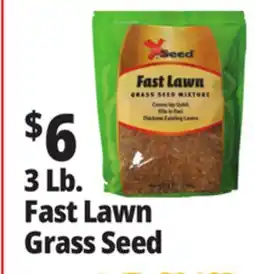 Ocean State Job Lot X-Seed Fast Lawn Grass Seed Mixture 3 lbs offer