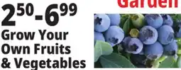 Ocean State Job Lot Grow Your Own Fruits & Vegetables offer