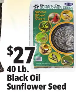Ocean State Job Lot Black Oil Sunflower Seeds 40 lbs offer