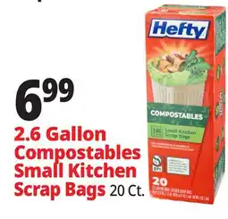 Ocean State Job Lot Hefty Compostable Small Kitchen Scrap Bags 20 Count offer