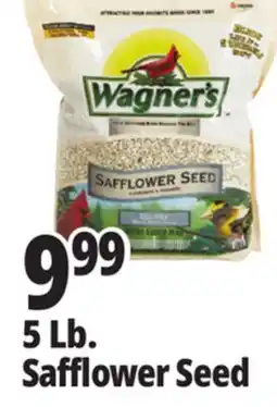 Ocean State Job Lot Wagner's Safflower Seed Deluxe Wild Bird Food offer