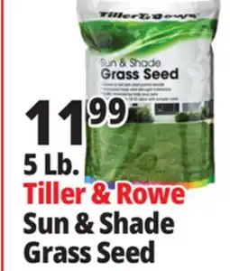 Ocean State Job Lot Tiller & Rowe Sun & Shade Grass Seed 5 lbs offer