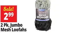 Ocean State Job Lot Jumbo Mesh Sponges 2 Count offer