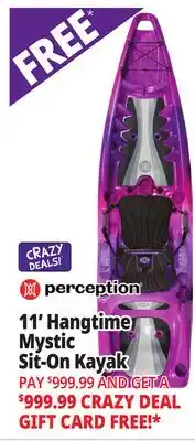 Ocean State Job Lot Perception Hangtime 11.0 Recreational Kayak Mystic offer