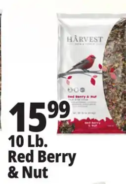 Ocean State Job Lot Harvest Seed & Supply Red Berry & Nut Wild Bird Food 10 lb offer