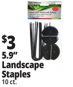 Ocean State Job Lot Tiller & Rowe Landscape Staples with Buttons 10 Count offer