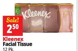 Ocean State Job Lot Kleenex Ultra Soft Pocket Pack Face Tissues 12 Count offer