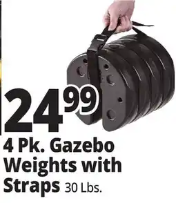 Ocean State Job Lot 4 Pk. Gazebo Weights with Straps offer