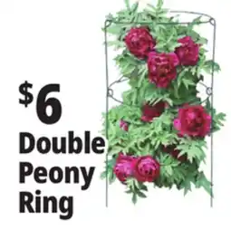 Ocean State Job Lot Double Peony Ring offer