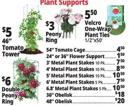 Ocean State Job Lot Plant Supports offer