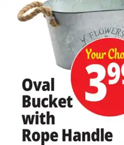 Ocean State Job Lot Galvanized Oval Planter with Rope Handles offer