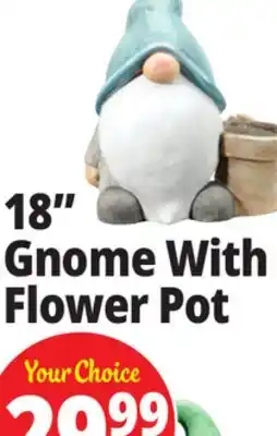 Ocean State Job Lot 18 Gnome With Flower Pot offer