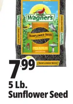 Ocean State Job Lot Wagner's Black Oil Sunflower Seed Wild Bird Food 5 lbs offer