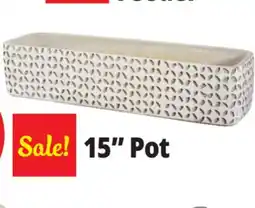 Ocean State Job Lot Oval Cement Pot 15 offer