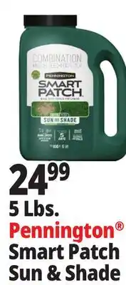 Ocean State Job Lot Pennington Smart Patch Grass Seed Fertilizer Mulch 5 lbs offer