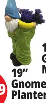 Ocean State Job Lot 19 Gnome Planter offer