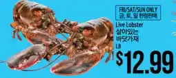 Hmart Live Lobster offer