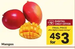 ACME Mangos offer