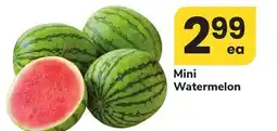 ACME Mini Watermelon offer