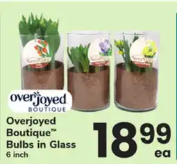 ACME Overjoyed Boutique Bulbs in Glass offer