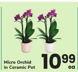 ACME Micro Orchid offer