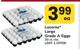 ACME Lucerne Large Grade A Eggs offer