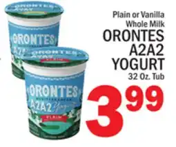 C Town ORONTES A2A2 YOGURT offer