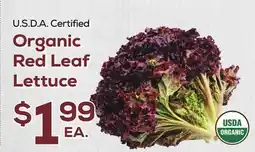 DeCicco & Sons Organic Red Leaf Lettuce offer