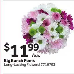 Stop&Shop Big Bunch Poms offer