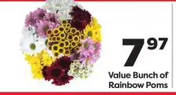 Weis Markets Value Bunch of Rainbow Poms offer