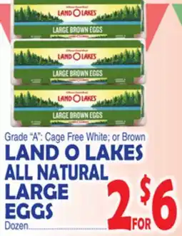 Bravo Supermarkets LAND O LAKES ALL NATURAL LARGE EGGS offer