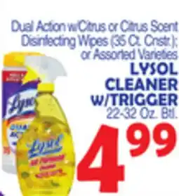 Bravo Supermarkets LYSOL CLEANER W/TRIGGER, 22-32 Oz. Btl offer