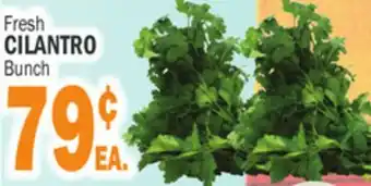 Bravo Supermarkets CILANTRO offer