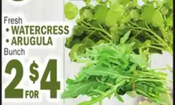 Bravo Supermarkets WATERCRESS, ARUGULA offer