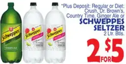 Bravo Supermarkets SCHWEPPES SELTZER offer
