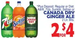 Bravo Supermarkets CANADA DRY GINGER ALE offer