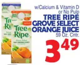 Bravo Supermarkets TREE RIPE GROVE SELECT ORANGE JUICE offer