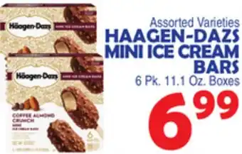 Bravo Supermarkets HAAGEN-DAZS MINI ICE CREAM BARS offer