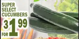 Bravo Supermarkets SUPER SELECT CUCUMBERS offer