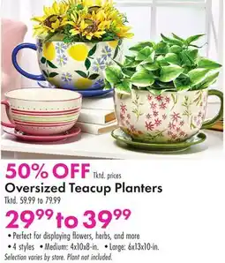 Boscov's Oversized Teacup Planters offer